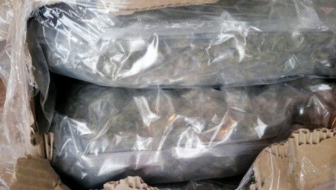 ОПТУЖЕН НАРКО ДИЛЕР: У џаковима на задњем седишту превозио марихуану ОПТУЖЕН НАРКО ДИЛЕР: У џаковима на задњем седишту превозио марихуану