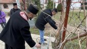 OVO JE NAJPOSEBNIJI VINOGRAD U SRBIJI: Nalazi se u porti crkve - rodio je od kalema stare loze sa Hilandara (FOTO)