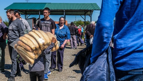 ДЕЦА БУВЉАКА СУ РАТНИЦИ ЖИВОТА:  Јединствена фото- монографија Александра Марковића из Лајковца