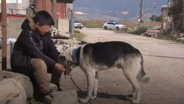 ПАС СПАСАО ЖИВОТ ДЕЧАКУ: Реаговао је као човек (ВИДЕО)