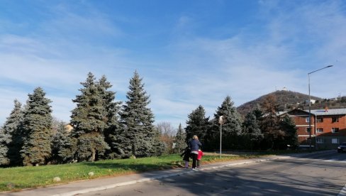 OBNOVLJEN TITOV GAJ U VRŠCU: Nekada imao 88 stabala, koliko i predsednik Jugoslavije kada je umro (FOTO)