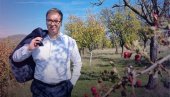 SRBIJA JE MOJ ŽIVOT, ZA NJU ŽIVIM: Predsednik Vučić se oglasio na Instagramu