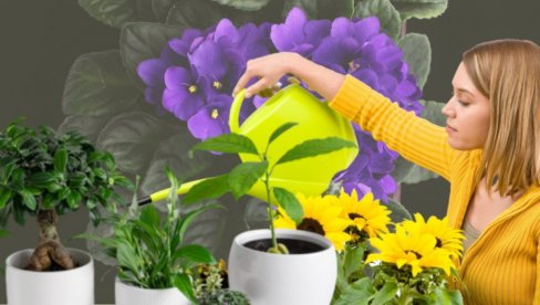 БИЗНИС СА ТЕРАСЕ ОСВОЈИО СРБЕ: Доноси веелику зараду, а улагања готово да нема