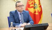 ДАЈТЕ ГЛАС ЦРНОЈ ГОРИ И МИЛАТОВИЋУ: Потпредседник Демократа Албим Ћеман послао поруку дијаспори