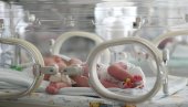 ЛЕГЕНДА ЗВЕЗДЕ ОСТАВИЛА ЖЕНУ ХРВАТИЦУ С ДЕТЕТОМ У БОЛНИЦИ: Данас сигурно то не бих урадио...