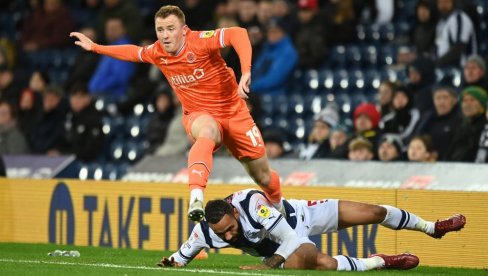 PREDLOZI ZA GOLOVE: Tip izdvaja - vi birate