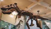 KOLIKI JE BIO KRALJ DINOSAURUSA? Novo naučno istraživanje daje odgovor koji će vas iznenaditi