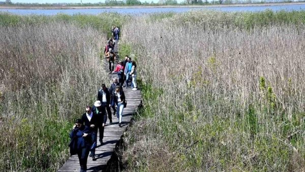 ОД ПРИРОДЕ НА ДАР: Међународни дан планете у Царској бари (ФОТО)