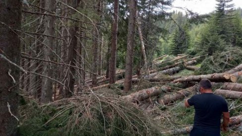 BEZ KONCESIJA MANJI PRIHOD: Opštine u CG zabrinute zbog izmena Zakona o šumama, budžet Pljevalja bio bi uskraćen za 3,5 miliona