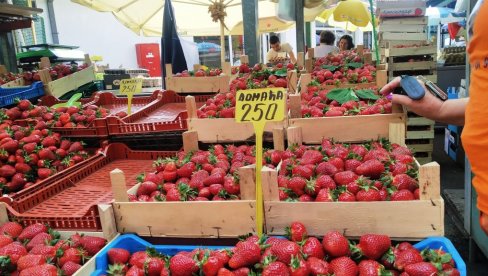 DOMAĆE JAGODE STIGLE NA PIJACE: Evo koliko koštaju i zašto im cena ne pada DOMAĆE JAGODE STIGLE NA PIJACE: Evo koliko koštaju i zašto im cena ne pada