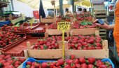 ДОМАЋЕ ЈАГОДЕ СТИГЛЕ НА ПИЈАЦЕ: Ево колико коштају и зашто им цена не пада ДОМАЋЕ ЈАГОДЕ СТИГЛЕ НА ПИЈАЦЕ: Ево колико коштају и зашто им цена не пада