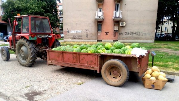 ПОНУДА ВЕЛЕТРЖНИЦЕ БЕОГРАД: Стигле домаће лубенице