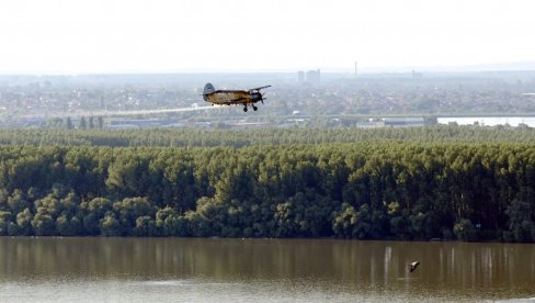 KOMARCI UBIŠE, A TEK SE OČEKUJE NAJEZDA: Evo ko je najpodložniji ujedu i zbog čega KOMARCI UBIŠE, A TEK SE OČEKUJE NAJEZDA: Evo ko je najpodložniji ujedu i zbog čega