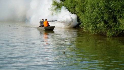 ZAŠTO JE DOŠLO DO NAJEZDE KOMARACA U SRBIJI: Stručnjak otkriva glavni uzrok i najbolju zaštitu ZAŠTO JE DOŠLO DO NAJEZDE KOMARACA U SRBIJI: Stručnjak otkriva glavni uzrok i najbolju zaštitu