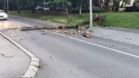 ПРИЈАВА СЕРВИСУ 11011: Шта када се дрво обруши на аутомобил без обзира на временске услове ПРИЈАВА СЕРВИСУ 11011: Шта када се дрво обруши на аутомобил без обзира на временске услове