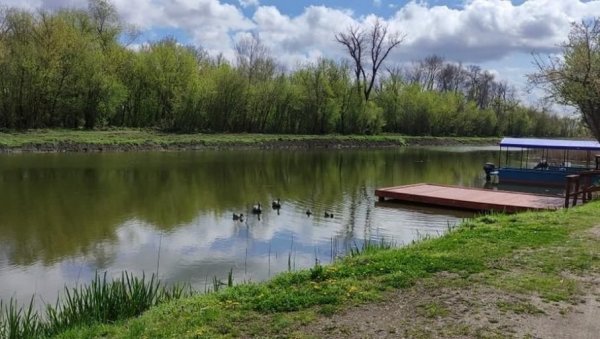 МОЧВАРНА ПОДРУЧЈА: Богатство и угроженост