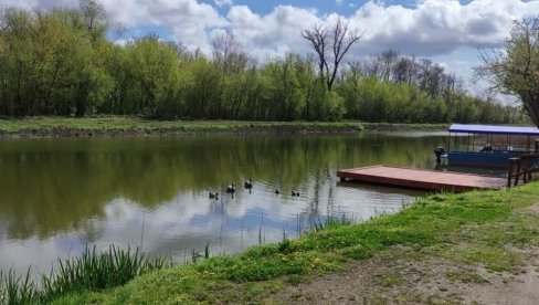 MOČVARNA PODRUČJA: Bogatstvo i ugroženost