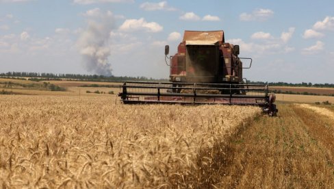 ZLATO I PŠENICA U PORASTU, NAFTA NAJNIŽA U MESECIMA: Evo kakvo je tačno stanje na berzi u Evropi