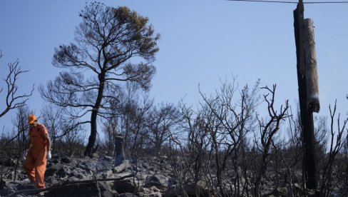ВАТРА ПРОГУТАЛА КУЋЕ, ШУМА У ПОТПУНОСТИ НЕСТАЛА: Драматична ситуација у Грчкој (ФОТО) ВАТРА ПРОГУТАЛА КУЋЕ, ШУМА У ПОТПУНОСТИ НЕСТАЛА: Драматична ситуација у Грчкој (ФОТО)