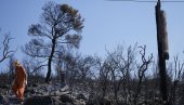 VATRA PROGUTALA KUĆE, ŠUMA U POTPUNOSTI NESTALA: Dramatična situacija u Grčkoj (FOTO)