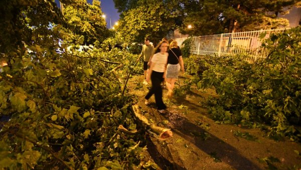 ВАНРЕДНА СИТУАЦИЈА У НОВОМ САДУ: Последице олује ВАНРЕДНА СИТУАЦИЈА У НОВОМ САДУ: Последице олује