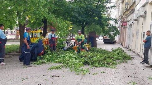 ПУКЛА СЛЕЗИНА НАКОН ПАДА ЗБОГ ОЛУЈЕ: Невреме у Вршцу - Повређени грађанин на ВМА, за сат оборено више стабала ПУКЛА СЛЕЗИНА НАКОН ПАДА ЗБОГ ОЛУЈЕ: Невреме у Вршцу - Повређени грађанин на ВМА, за сат оборено више стабала