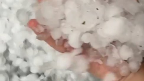 U OVIH OSAM SELA JE NAJVEĆA ŠTETA : Meštani svedoče za Novosti da je grad pao sa neba bez oblaka! (VIDEO) U OVIH OSAM SELA JE NAJVEĆA ŠTETA : Meštani svedoče za Novosti da je grad pao sa neba bez oblaka! (VIDEO)