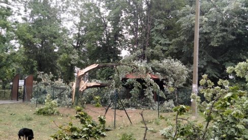 ЗА САНИРАЊЕ ПОСЛЕДИЦА НЕВРЕМЕНА У ВОЈВОДИНИ ПОКРАЈИНА ИЗДВОЈИЛА ОКО 500 МИЛИОНА ДИНАРА: Оштећене школе и вртиће обновити до септембра ЗА САНИРАЊЕ ПОСЛЕДИЦА НЕВРЕМЕНА У ВОЈВОДИНИ ПОКРАЈИНА ИЗДВОЈИЛА ОКО 500 МИЛИОНА ДИНАРА: Оштећене школе и вртиће обновити до септембра