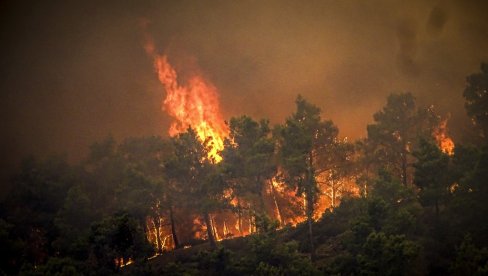 ДРАМАТИЧНИ ПРИЗОРИ У ГРЧКОЈ: Ватра гута све пред собом, дим видљив и из околних земаља (ФОТО/ВИДЕО) ДРАМАТИЧНИ ПРИЗОРИ У ГРЧКОЈ: Ватра гута све пред собом, дим видљив и из околних земаља (ФОТО/ВИДЕО)