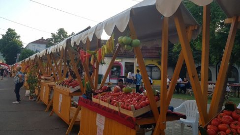 PRESTONICA PARADAJZA: Tradicionalna manifestacija u Lebane privukla više od 30.000 gostiju i 54 izlagača PRESTONICA PARADAJZA: Tradicionalna manifestacija u Lebane privukla više od 30.000 gostiju i 54 izlagača