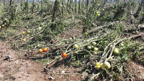 АПЕЛ ЗА ГРАЂАНЕ: Пријава штете од невремена за мештане општине Сечањ АПЕЛ ЗА ГРАЂАНЕ: Пријава штете од невремена за мештане општине Сечањ