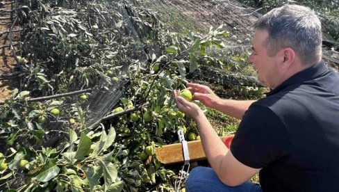 ДО КОРЕНА ЈЕ СВЕ УБИЈЕНО! После два налета олује њиве широм Србије изгледају сабласно (ФОТО) ДО КОРЕНА ЈЕ СВЕ УБИЈЕНО! После два налета олује њиве широм Србије изгледају сабласно (ФОТО)