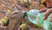 IMA NADE ZA NAS: Potresne fotografije iz Grčke pokazuju kolika je ljudska humanost (FOTO/VIDEO)