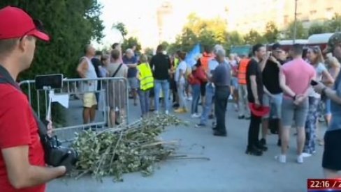 ОПОЗИЦИЈА ПРОТЕСТУЈЕ ЈЕР ВУЧИЋ НИЈЕ УСПЕО ДА СПАСИ ДРВЕЋЕ ОД ОЛУЈЕ: Ово је небулозни разлог за протест (ВИДЕО) ОПОЗИЦИЈА ПРОТЕСТУЈЕ ЈЕР ВУЧИЋ НИЈЕ УСПЕО ДА СПАСИ ДРВЕЋЕ ОД ОЛУЈЕ: Ово је небулозни разлог за протест (ВИДЕО)