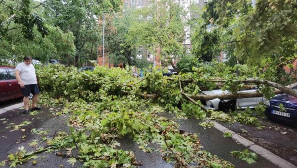 НЕВРЕМЕ НАПРАВИЛО ХАОС НА БАЊИЦИ: Почупано дрвеће и поломљене гране свуда по путу (ФОТО/ВИДЕО)