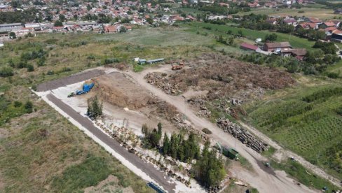 POSLE ORKANSKE OLUJE PRIKUPLJENE HILJADE TONA POLOMLJENOG DRVEĆA I GRANJA: Novosadsko „Zelenilo“ najavilo veliku akciju sadnje drveća POSLE ORKANSKE OLUJE PRIKUPLJENE HILJADE TONA POLOMLJENOG DRVEĆA I GRANJA: Novosadsko „Zelenilo“ najavilo veliku akciju sadnje drveća