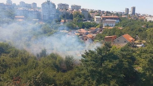 POŽAR NA VOŽDOVCU: Žena zapalila rastinje na livadi, vatra se otrgla kontroli (VIDEO) POŽAR NA VOŽDOVCU: Žena zapalila rastinje na livadi, vatra se otrgla kontroli (VIDEO)
