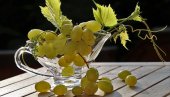 ZA VINO VRHUNSKOG KVALITETA: Ovo su najbolje sorte grožđa za pijuckanje