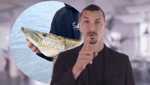 IBRA MAJSTOR: Vidite koliku štuku je upecao! A da je vrati predatora nazad? (FOTO) IBRA MAJSTOR: Vidite koliku štuku je upecao! A da je vrati predatora nazad? (FOTO)