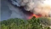 U ŠUMI PRONAĐENO 18 UGLJENISANIH TELA: Otkrivena na dve lokacije - tragedija u Grčkoj (VIDEO)