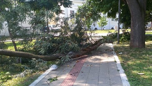 ДО 11. СЕПТЕМБРА: У Пожаревцу пријава штете од јулског невремена ДО 11. СЕПТЕМБРА: У Пожаревцу пријава штете од јулског невремена