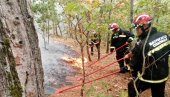 SRPSKI VATROGASCI U SELU JANULI: Pomažu grčkim kolegama u borbi sa vatrenom stihijom (FOTO)