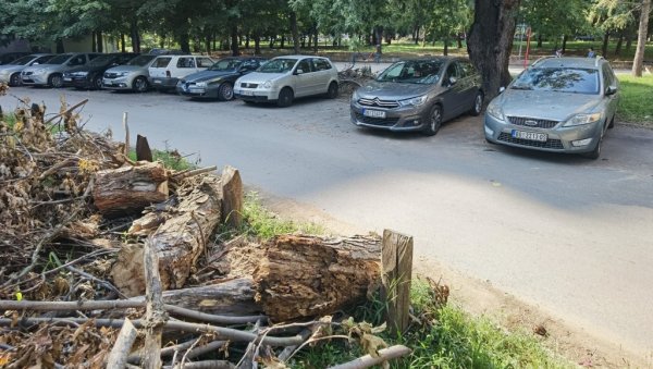 ИЗ ЛЕТА У ЗИМУ: Драматичан пад температуре изазвао многобројне проблеме у Београду