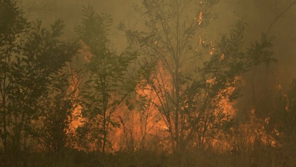 ГОРИ У ЕВРОСУ ВЕЋ 14. ДАН: Ватрогасци се боре да зауставе ватрену стихију и спрече ширење