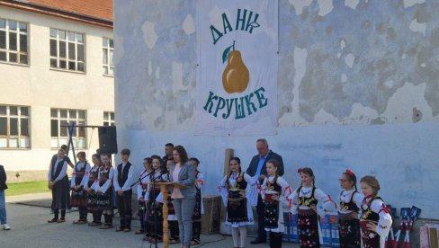 ДАНИ КРУШКЕ: Традиционална манифестација одржана у Вучју код Лесковца ДАНИ КРУШКЕ: Традиционална манифестација одржана у Вучју код Лесковца