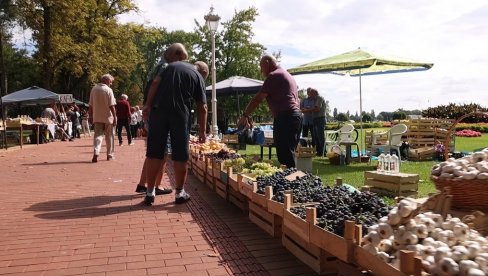ТРАДИЦИОНАЛНА МАНИФЕСТАЦИЈА: Бербански дани за викенд на Палићу ТРАДИЦИОНАЛНА МАНИФЕСТАЦИЈА: Бербански дани за викенд на Палићу