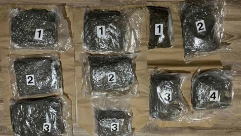 ПАО ДИЛЕР У КРУШЕВЦУ: Полиција запленила девет килограма марихуане ПАО ДИЛЕР У КРУШЕВЦУ: Полиција запленила девет килограма марихуане