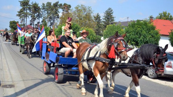 У БАТКОВИЋУ ПРВА ФИЈАКЕРИЈАДА: У сеоском парку Липик десетак јахача коња и 30 кочија из семберских и мајевичких места