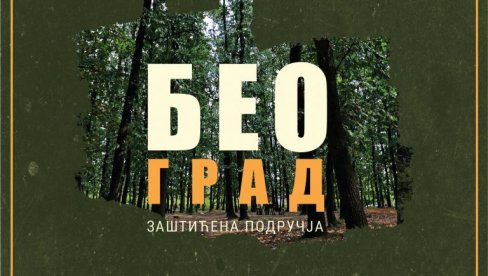 ВИЛИНСКА ЕНЕРГИЈА ДРВЕЋА: У Галерији Сигидуним видео радови Кристине Влаисављевић