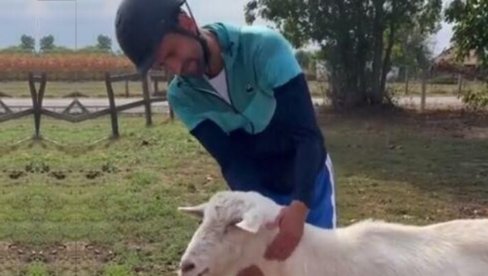 НОЛЕ И КОЗА: Зашто је Ђоковићев снимак с Космаја постао хит у свету (ВИДЕО) НОЛЕ И КОЗА: Зашто је Ђоковићев снимак с Космаја постао хит у свету (ВИДЕО)